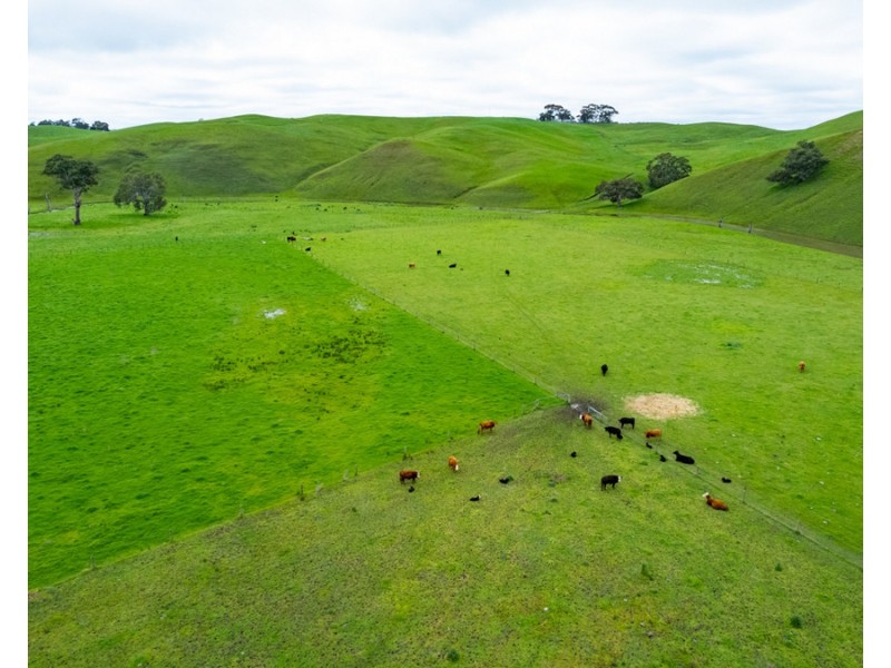 70 Sealeys Road, Sandford VIC 3312