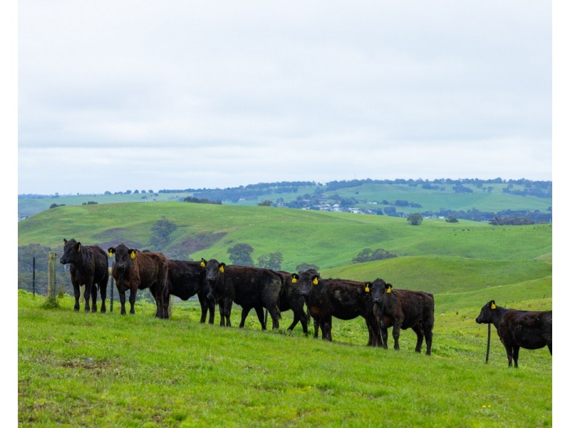 70 Sealeys Road, Sandford VIC 3312