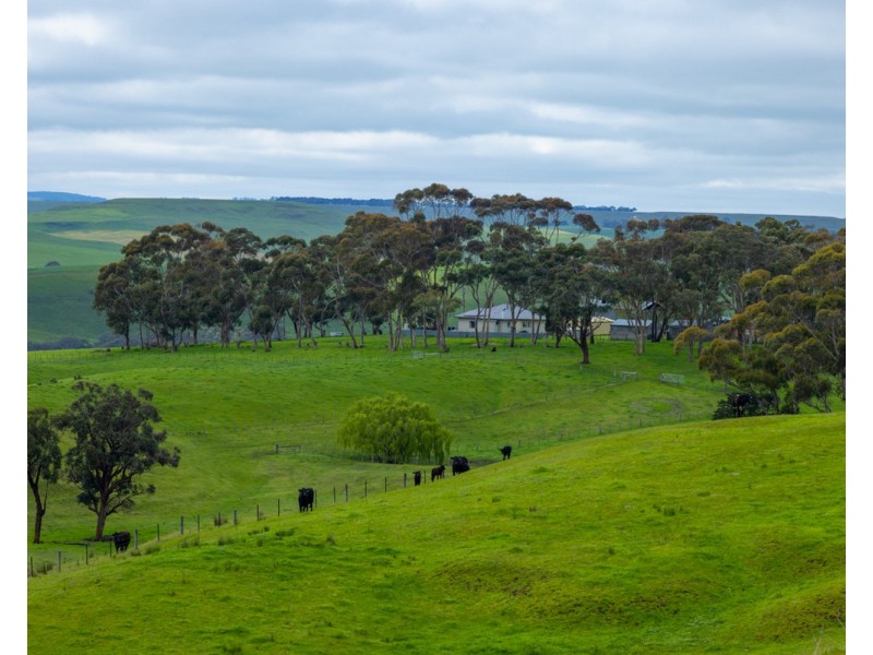 70 Sealeys Road, Sandford VIC 3312