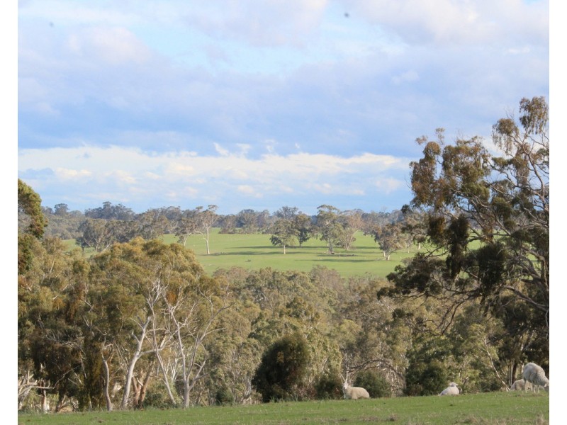 Smiths Road, Balmoral VIC 3407