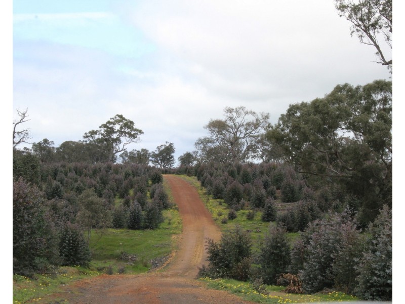 44A Gray Street, Hamilton VIC 3300