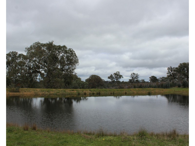 44A Gray Street, Hamilton VIC 3300