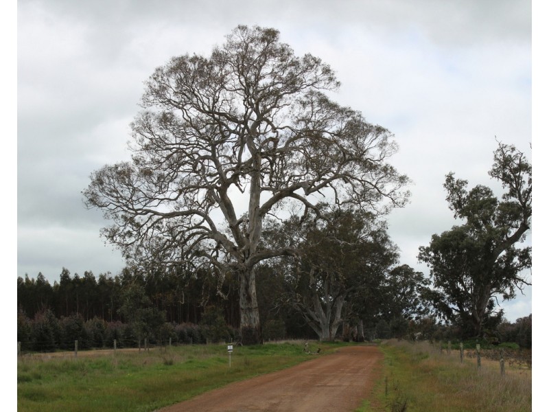 44A Gray Street, Hamilton VIC 3300