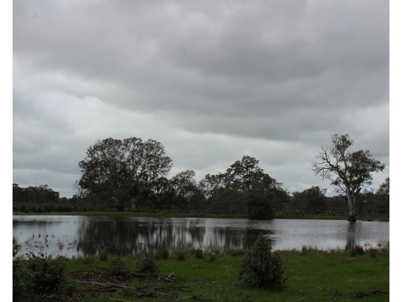 44A Gray Street, Hamilton VIC 3300