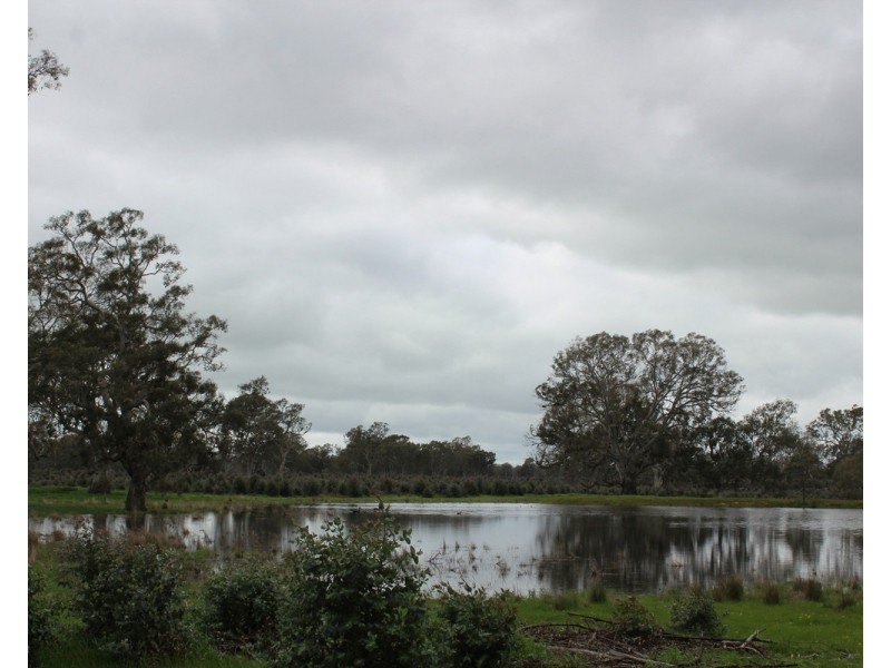 44A Gray Street, Hamilton VIC 3300