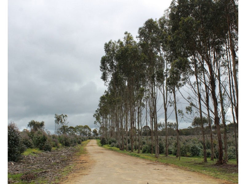 44A Gray Street, Hamilton VIC 3300