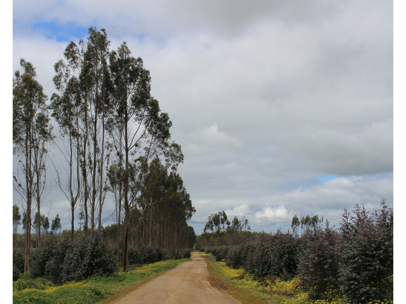 44A Gray Street, Hamilton VIC 3300