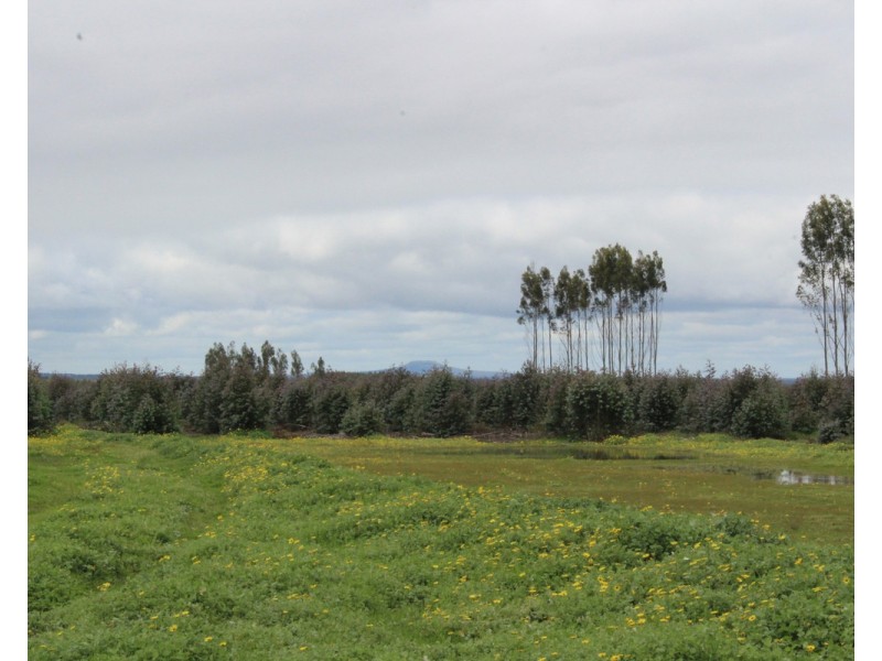 44A Gray Street, Hamilton VIC 3300