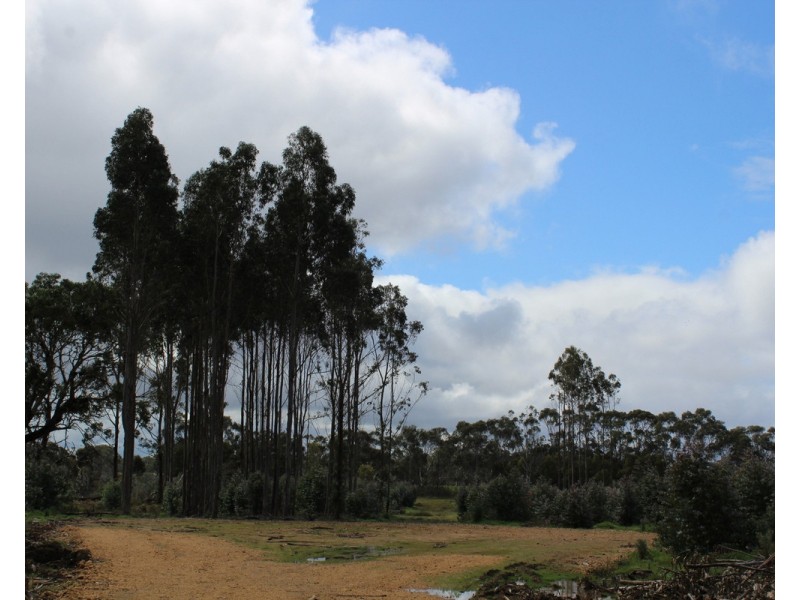 44A Gray Street, Hamilton VIC 3300