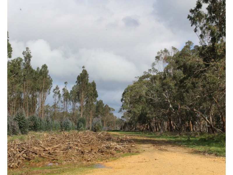 44A Gray Street, Hamilton VIC 3300