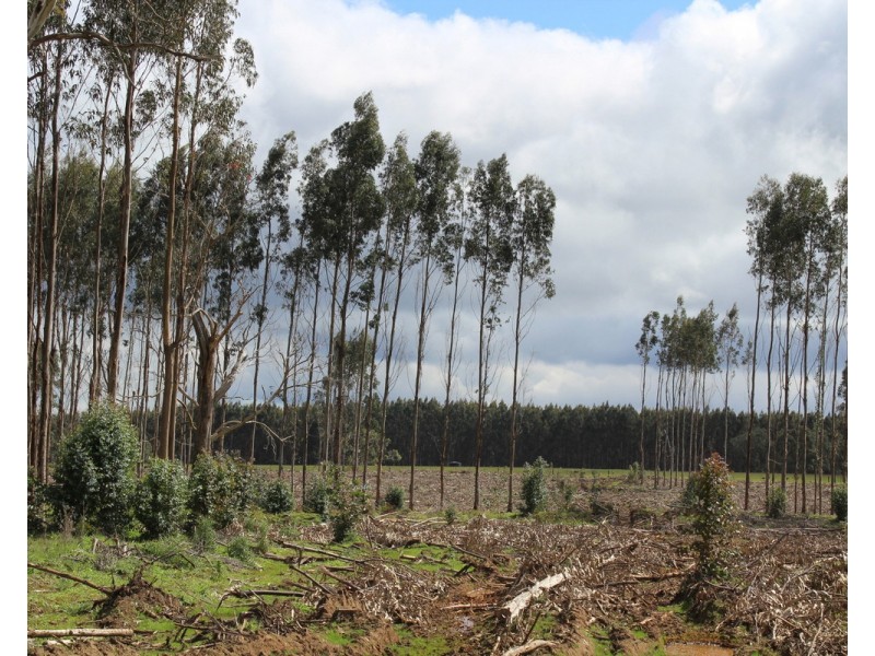 44A Gray Street, Hamilton VIC 3300