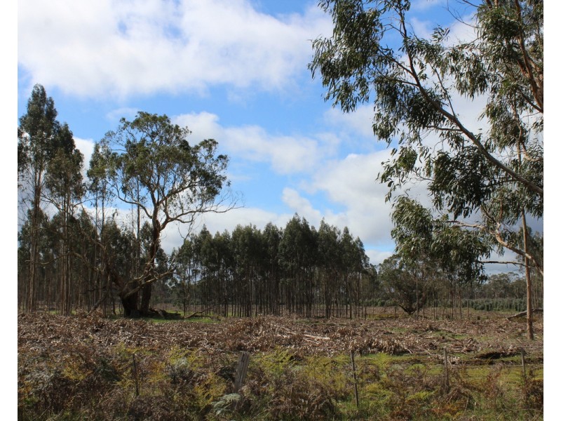 44A Gray Street, Hamilton VIC 3300