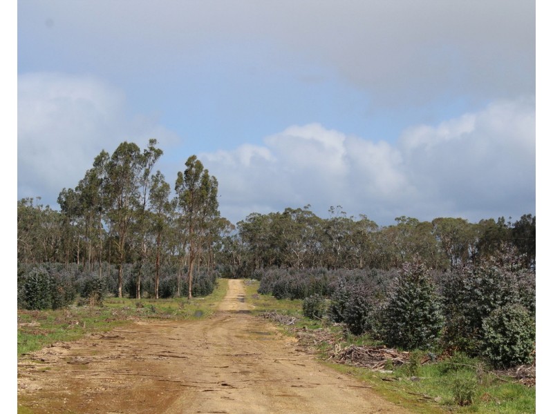 44A Gray Street, Hamilton VIC 3300