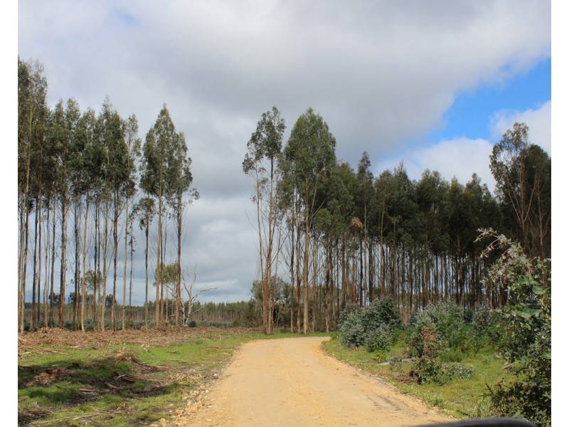 44A Gray Street, Hamilton VIC 3300