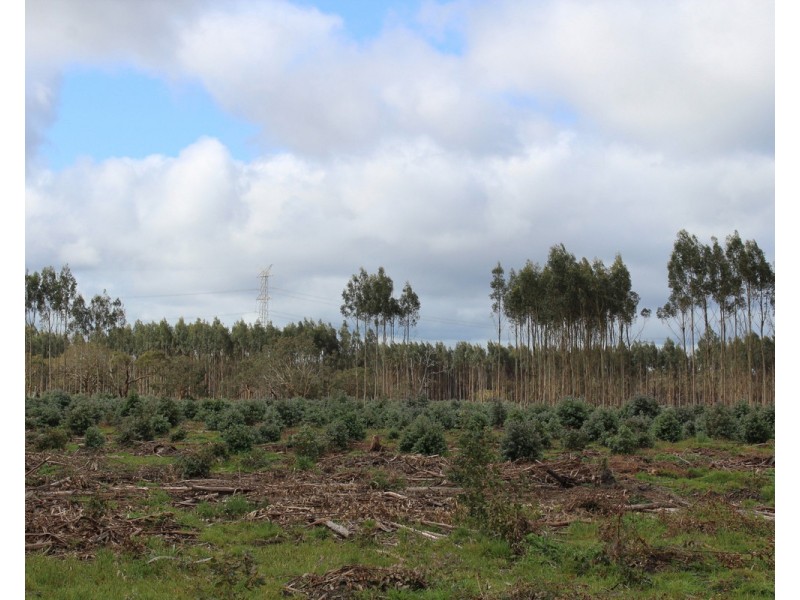 44A Gray Street, Hamilton VIC 3300