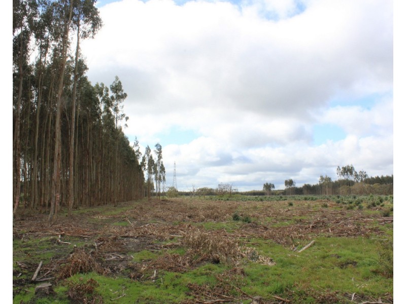 44A Gray Street, Hamilton VIC 3300