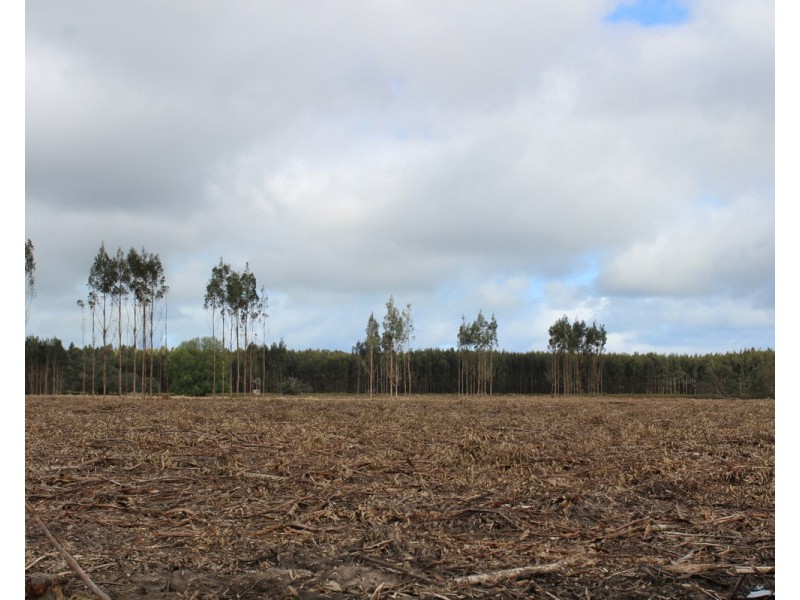 44A Gray Street, Hamilton VIC 3300