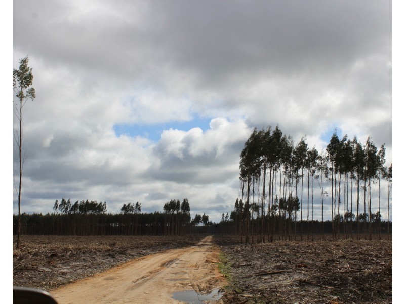 44A Gray Street, Hamilton VIC 3300