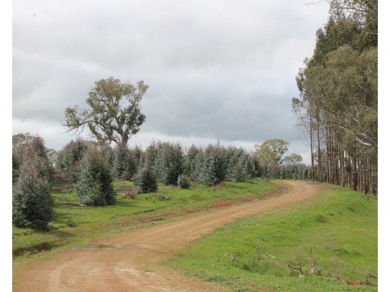 1021 Careys Road, Nareen VIC 3315