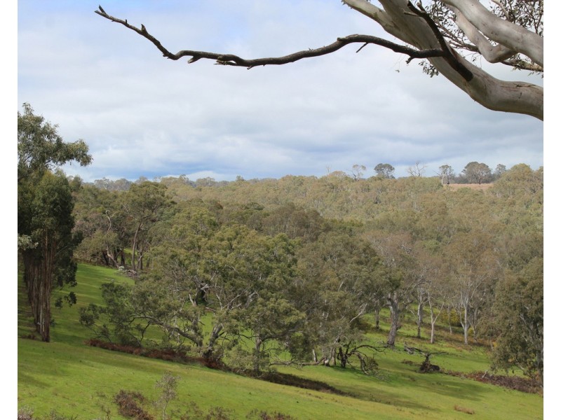 1021 Careys Road, Nareen VIC 3315