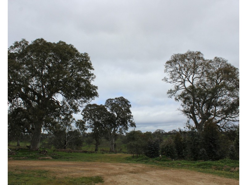 1021 Careys Road, Nareen VIC 3315