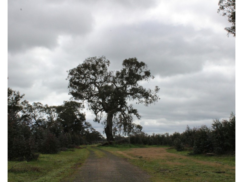 1021 Careys Road, Nareen VIC 3315