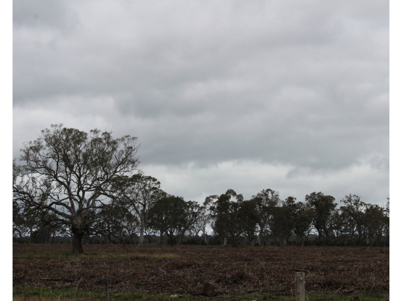 1021 Careys Road, Nareen VIC 3315