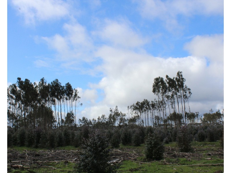 1021 Careys Road, Nareen VIC 3315