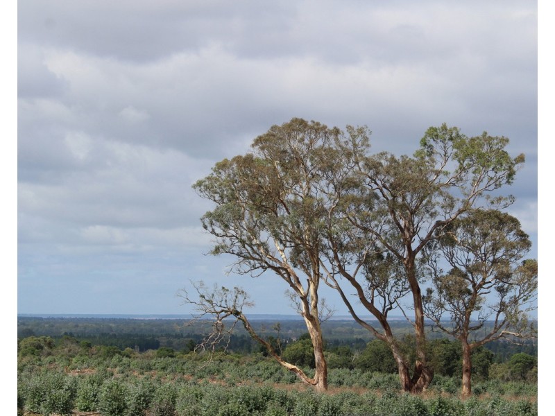 McCutcheons Road, Cavendish VIC 3314