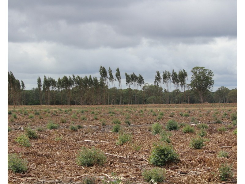 McCutcheons Road, Cavendish VIC 3314
