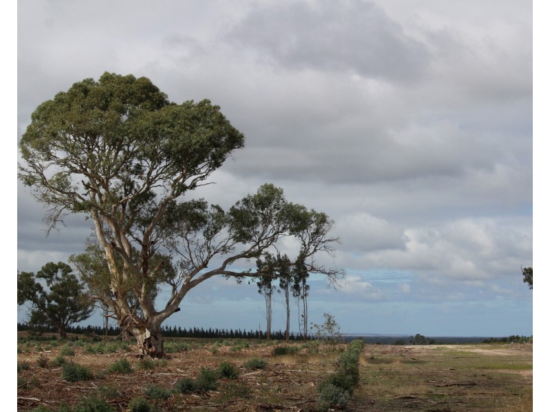 McCutcheons Road, Cavendish VIC 3314
