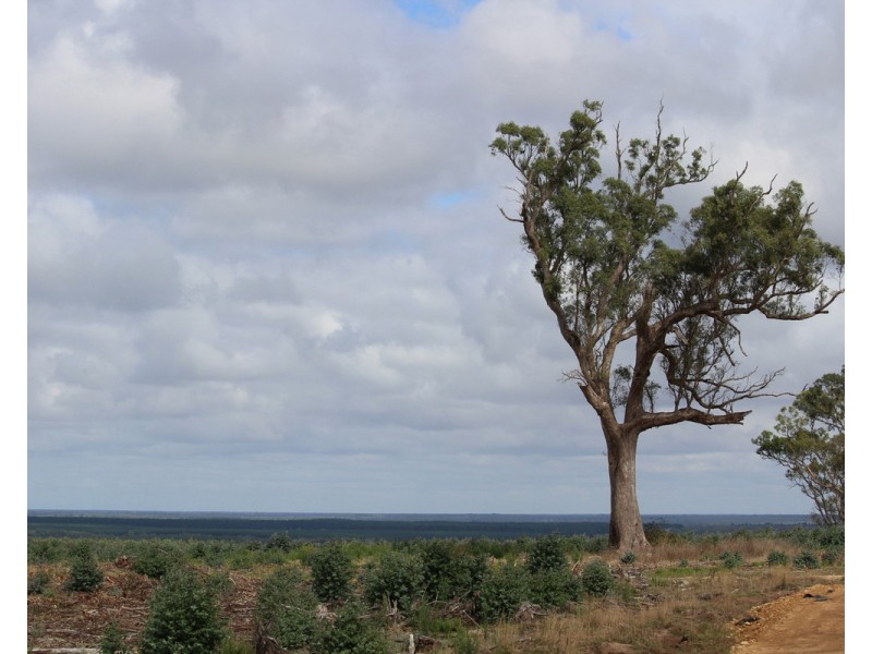 McCutcheons Road, Cavendish VIC 3314