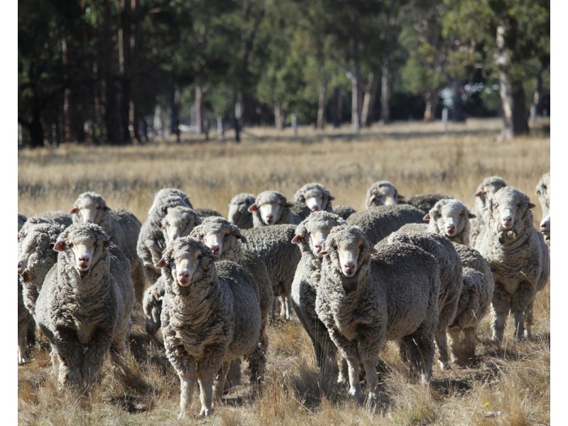 412 Victoria Point Road, Victoria Valley VIC 3294