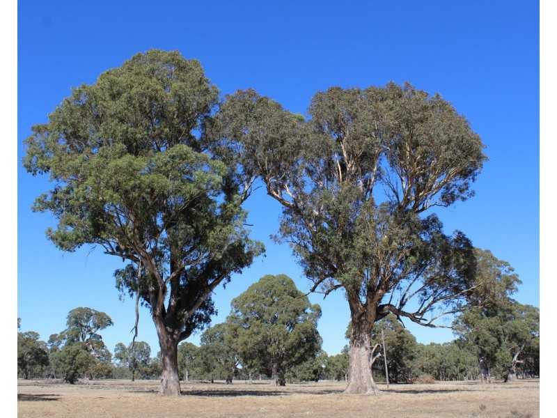 412 Victoria Point Road, Victoria Valley VIC 3294