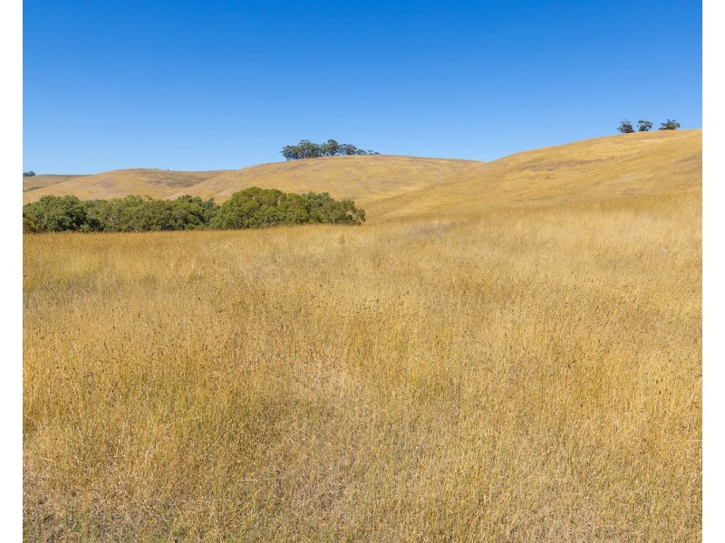 109 Eagles Road, Paschendale VIC 3315