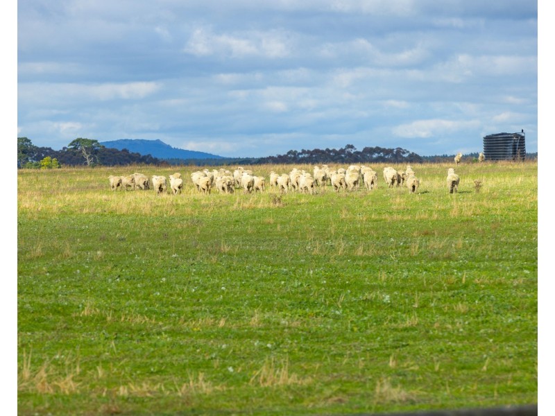 462 Chrome Road, Branxholme VIC 3302