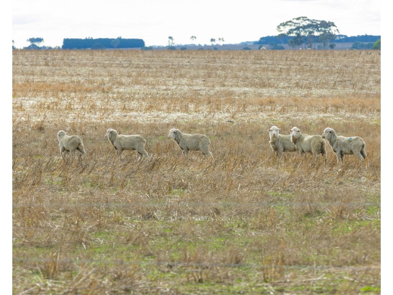 462 Chrome Road, Branxholme VIC 3302