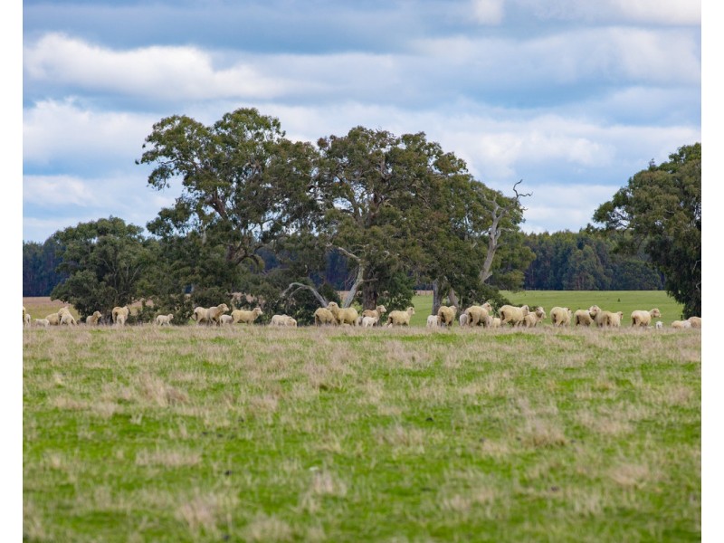 462 Chrome Road, Branxholme VIC 3302