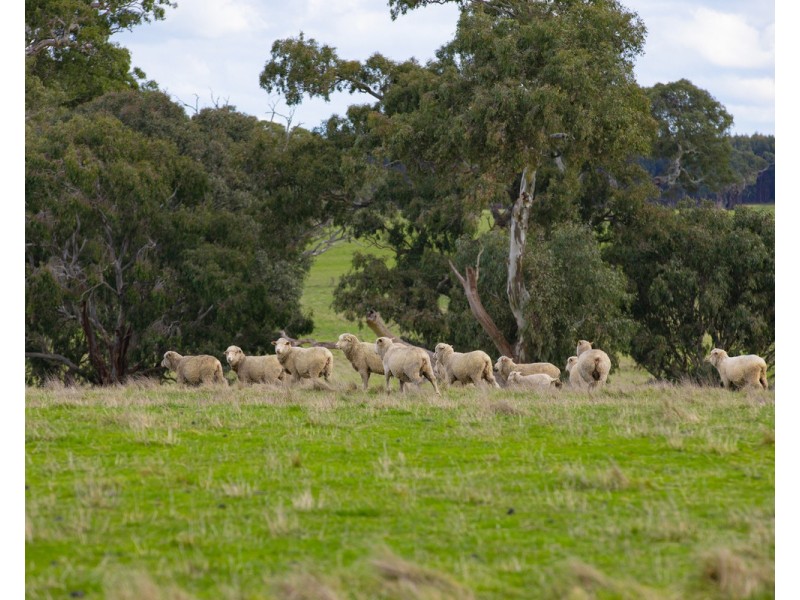 462 Chrome Road, Branxholme VIC 3302