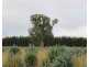 McCutcheons Road, Cavendish VIC 3314