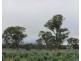 McCutcheons Road, Cavendish VIC 3314