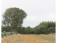 McCutcheons Road, Cavendish VIC 3314