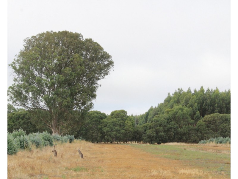 McCutcheons Road, Cavendish VIC 3314