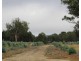 McCutcheons Road, Cavendish VIC 3314