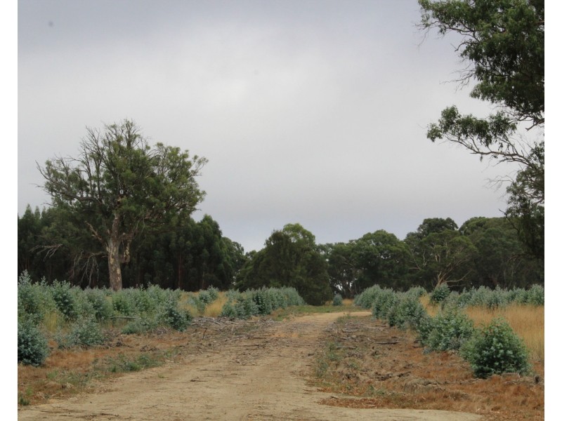 McCutcheons Road, Cavendish VIC 3314