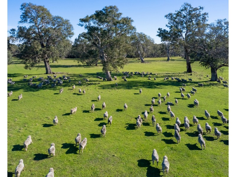 252 Wannon Nigretta Road, Wannon VIC 3301