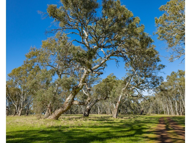 252 Wannon Nigretta Road, Wannon VIC 3301