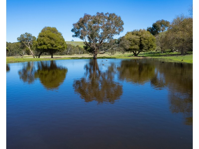 79 Calton Hill Road, Gritjurk VIC 3315