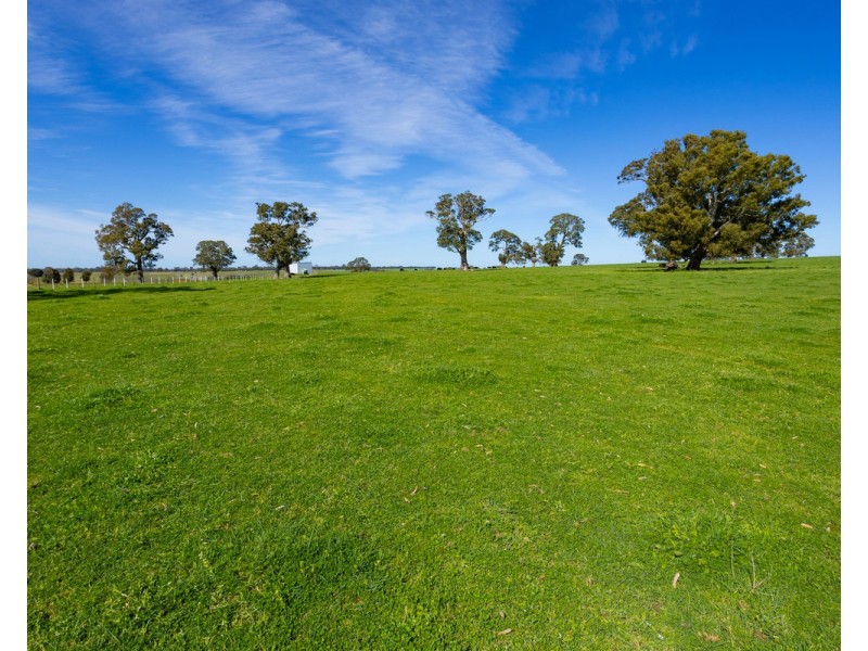 79 Calton Hill Road, Gritjurk VIC 3315