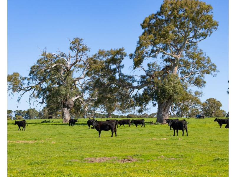 79 Calton Hill Road, Gritjurk VIC 3315